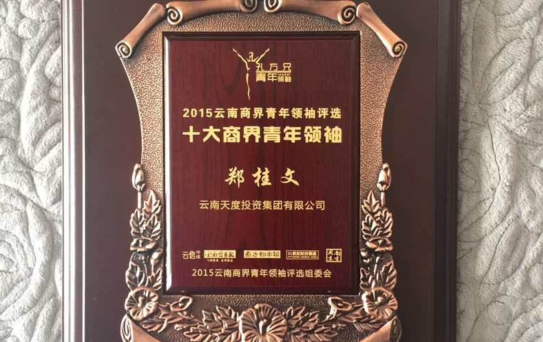 在“互聯(lián)網(wǎng)大時(shí)代”的背景下，天度作為本土很大和很有名的互聯(lián)網(wǎng)服務(wù)企業(yè)，為近萬(wàn)家傳統(tǒng)企業(yè)轉(zhuǎn)型互聯(lián)網(wǎng)+提供了服務(wù)和幫助，獲此獎(jiǎng)項(xiàng)后，我們將再接再厲，創(chuàng)造更高的社會(huì)價(jià)值